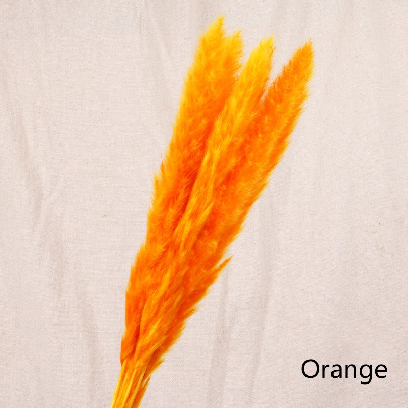 Dried flower home decoration (7pcs)