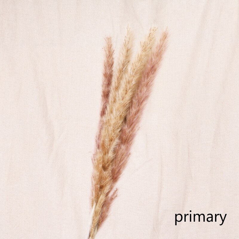 Dried flower home decoration (7pcs)