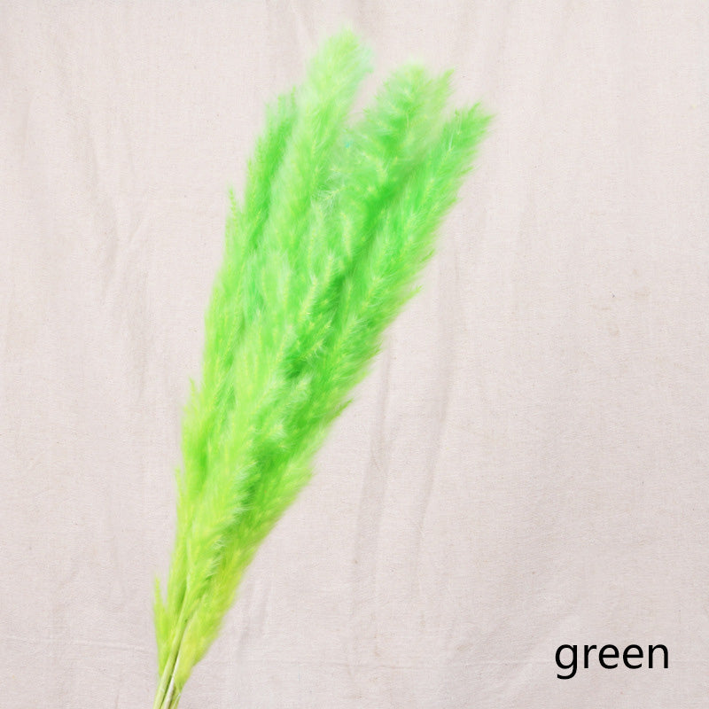 Dried flower home decoration (7pcs)