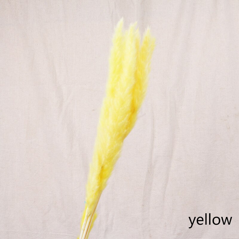 Dried flower home decoration (7pcs)