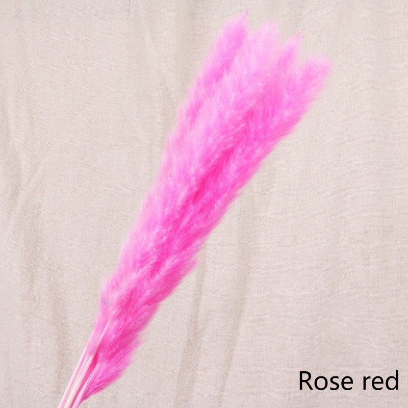 Dried flower home decoration (7pcs)