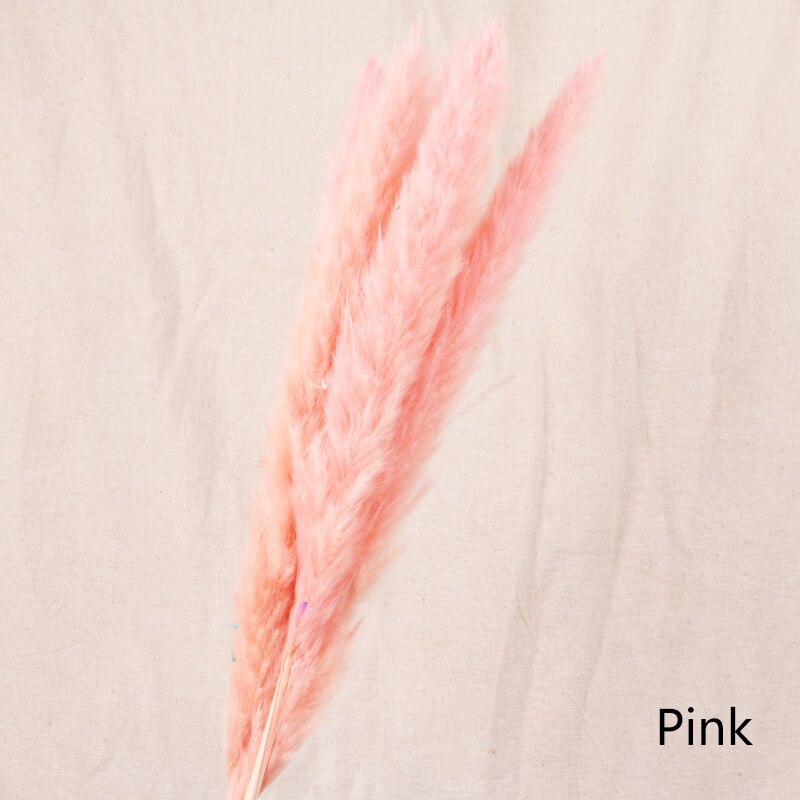 Dried flower home decoration (7pcs)